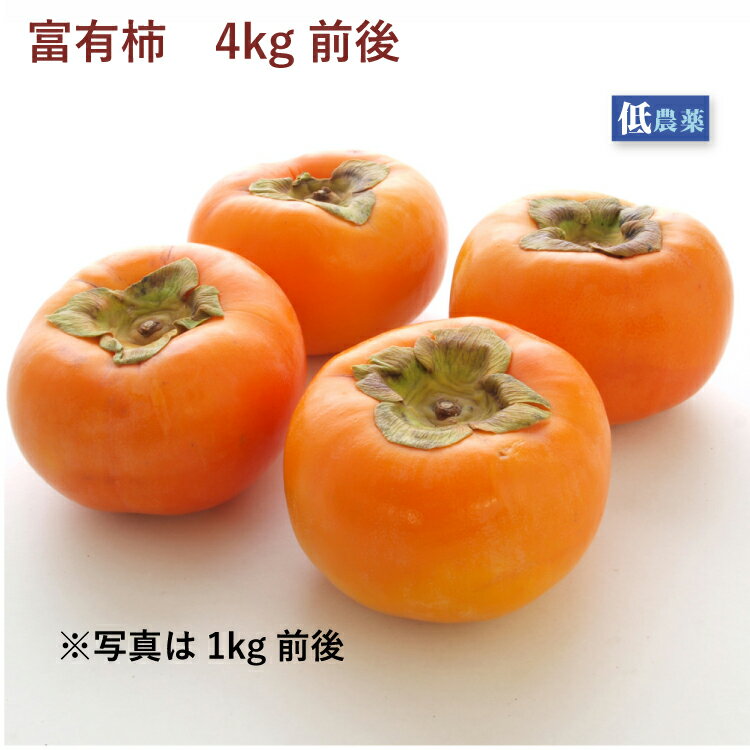 富有柿　奈良県産 4kg前後