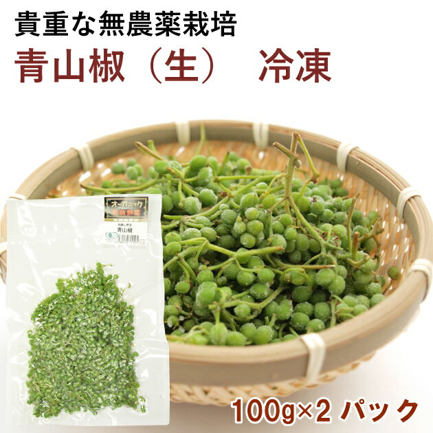 【予約】毎年人気です　青山椒　冷凍 100g×2袋　※5/22（水）～発送予定