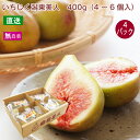 【予約】直送 新潟産 いちじく 「潟東美人」無農薬栽培 400g前後(4~6個入)×4パック 完熟フランス原産のバナーネ 白いちじく 上品で濃厚な甘さ 贈答 ギフト ※お届け時期:8月下旬頃からの予定