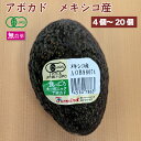 有機アボカド メキシコ産 無農薬栽培 4個・8個・12個・20個から選べます