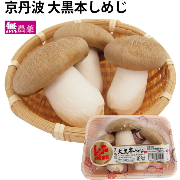 京都丹波産　大黒本しめじ 100g×5パック