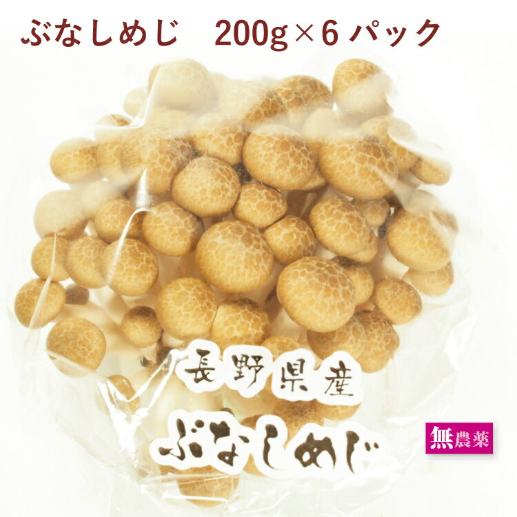 きのこ　臼井農園　ぶなしめじ 長野県産 200g　6パック