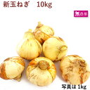 新玉ねぎ 無農薬栽培 10kg前後 母の日