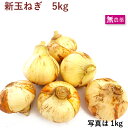 新玉ねぎ 無農薬栽培 5kg前後 母の日