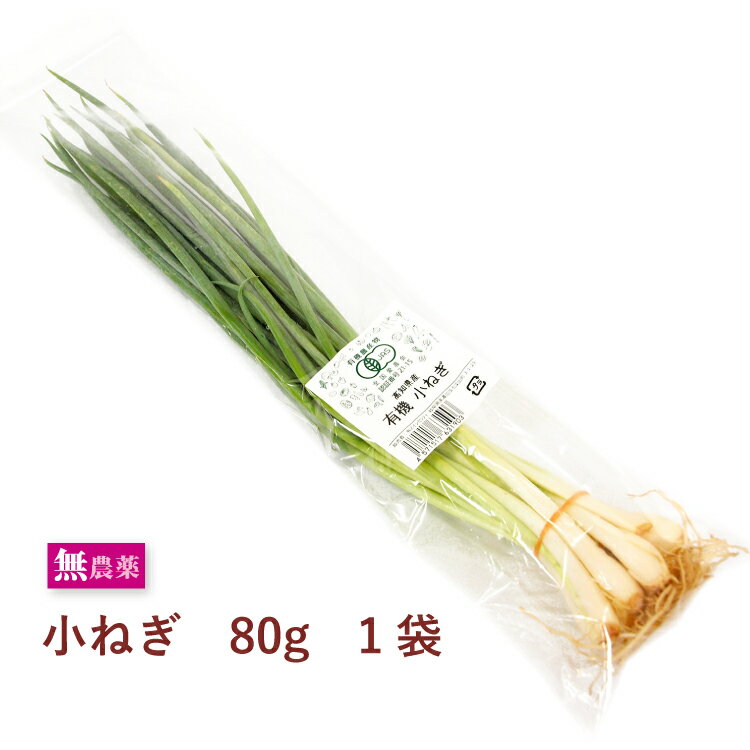 有機小ねぎ 高知県産 無農薬栽培 80g×1袋　青ねぎ