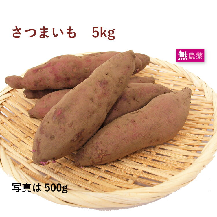 さつまいも 無農薬栽培 5kg前後