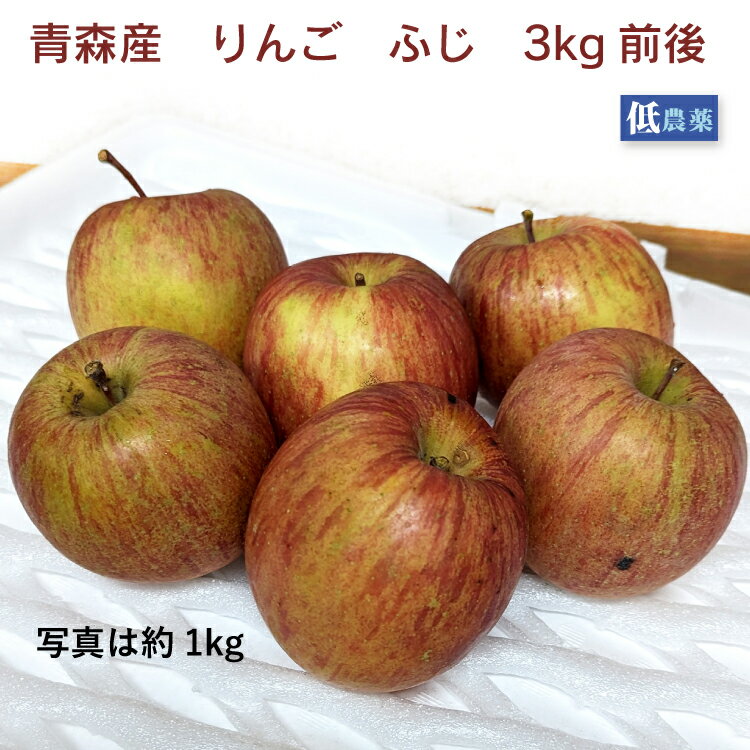 りんご ふじ 青森県産 低農薬栽培 3kg前後　家庭用