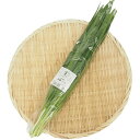 ニラ　100g×20袋 産地：高知 有機栽培・無農薬のニラです。 ビタミンC、βカロテンが豊富で、生活習慣病予防に大きく貢献する緑黄色野菜です。