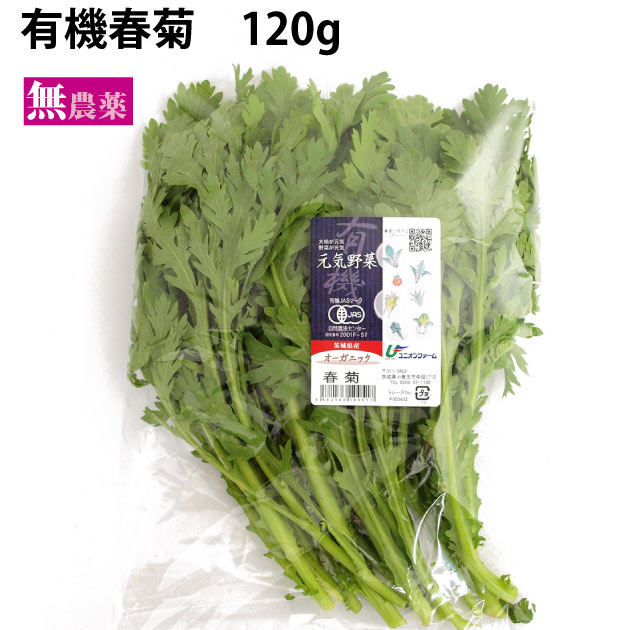 有機春菊 茨城県産 無農薬栽培 5把