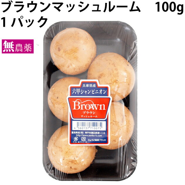 きのこ ブラウンマッシュルーム 100g 1パック 父の日