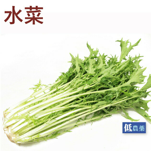 水菜 低農薬栽培 150g×10袋