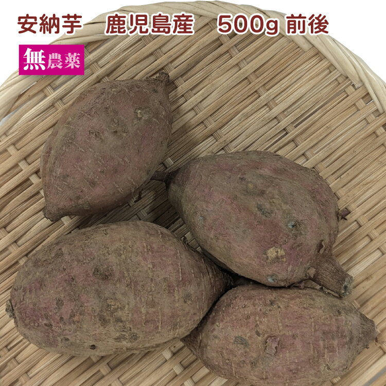 安納芋 無農薬栽培 500g前後　さつま芋(4)