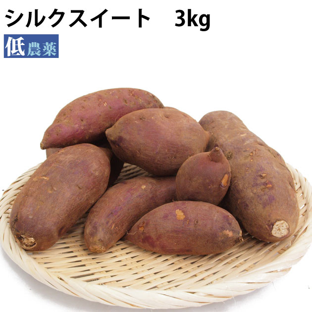 さつまいも シルクスイート 茨城県産 3kg