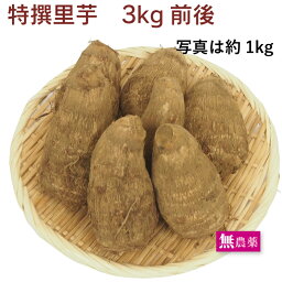 特撰里芋 無農薬栽培 3kg前後