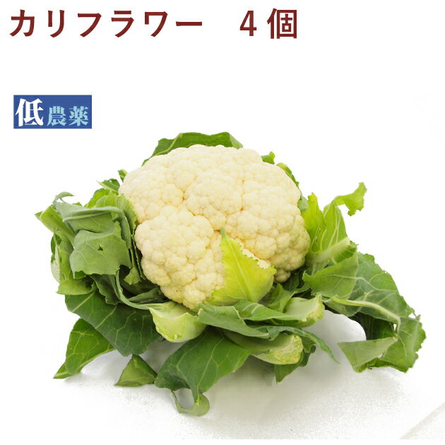 全国お取り寄せグルメ新潟その他の野菜No.5