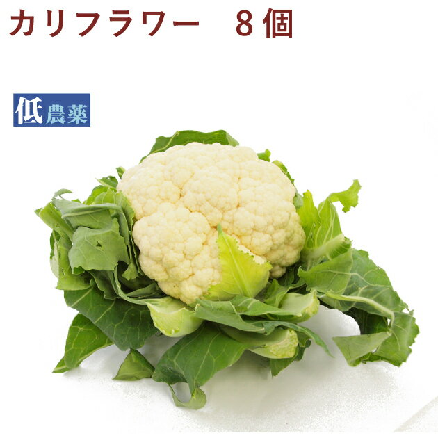 全国お取り寄せグルメ新潟その他の野菜No.2