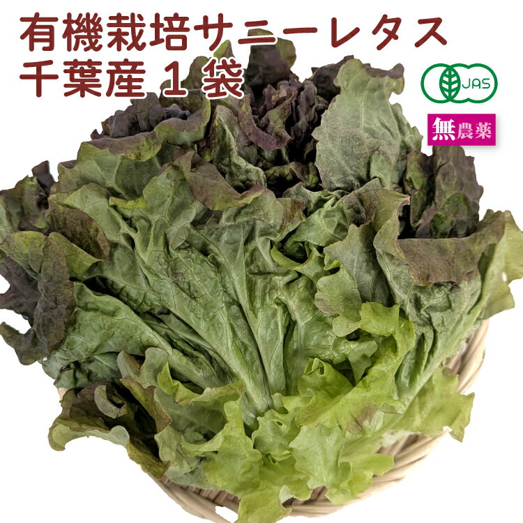 有機栽培サニーレタス 1袋 千葉産 母の日