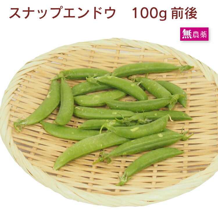 スナップエンドウ 100g前後 春野菜 スナップえんどう スナックエンドウ 豆 えんどう豆