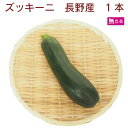ズッキーニ 無農薬栽培 1本 夏野菜 夏バテ予防 炒め物 サラダ 煮込んで
