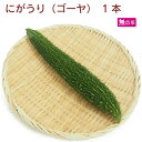 にがうり(ゴーヤ) 1本 埼玉産