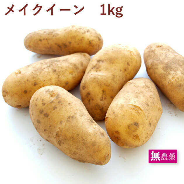 じゃがいも　メイクイーン　1kg前後 無農薬栽培のサムネイル