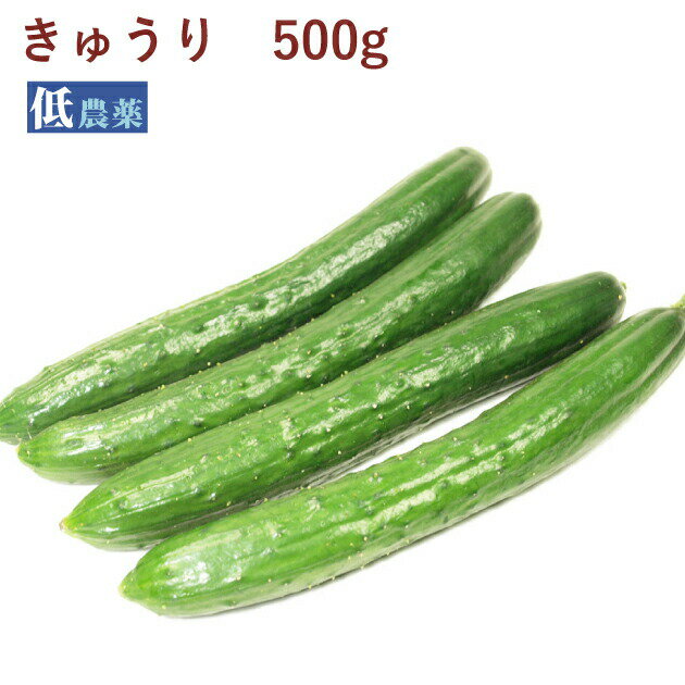 きゅうり 低農薬栽培 500g