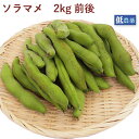ソラマメ 2kg前後 低農薬栽培 母の日