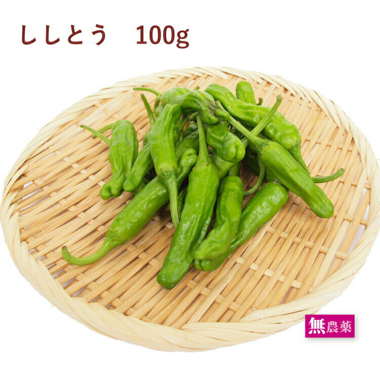 ししとう　100g 無農薬栽培