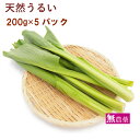 天然うるい 青森県産 無農薬栽培 200g 5パック 春の味覚 春野菜