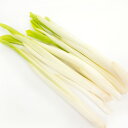 うるい 無農薬栽培 100g×5パック 新潟産 母の日