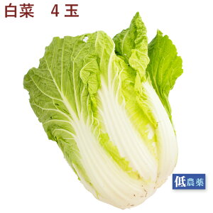 白菜 低農薬栽培 4玉