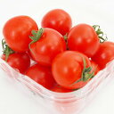 有機ミニトマト 100g×1パック