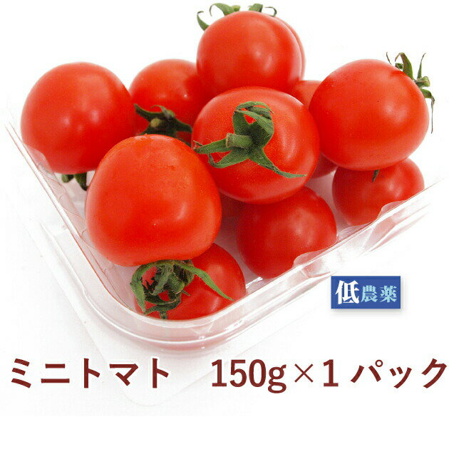ミニトマト 埼玉産 150g×1パック 低農薬栽培