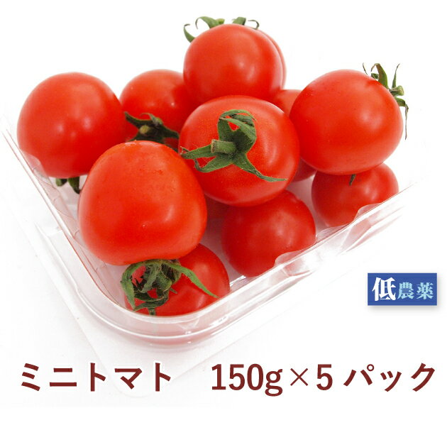 ミニトマト　埼玉産　低農薬栽培　150g×5パック