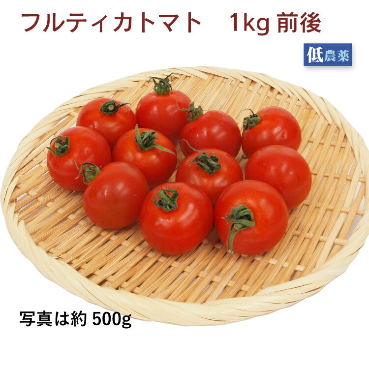 フルティカトマト　1kg前後　低農薬栽培　ミディトマト　中玉トマト