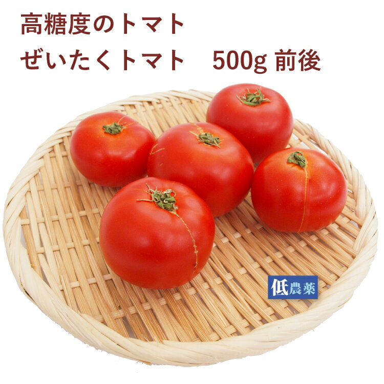 ぜいたくトマト 500g前後 埼玉産