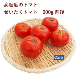 ぜいたくトマト　500g前後　埼玉産