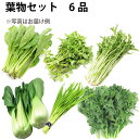 お買得 おまかせ葉物セット 6品 旬の葉物野菜をお届け お楽しみ 野菜セット