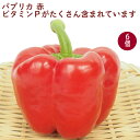パプリカ 赤 10個 低農薬栽培 新潟産 食卓に華やかな彩を添える食材 母の日