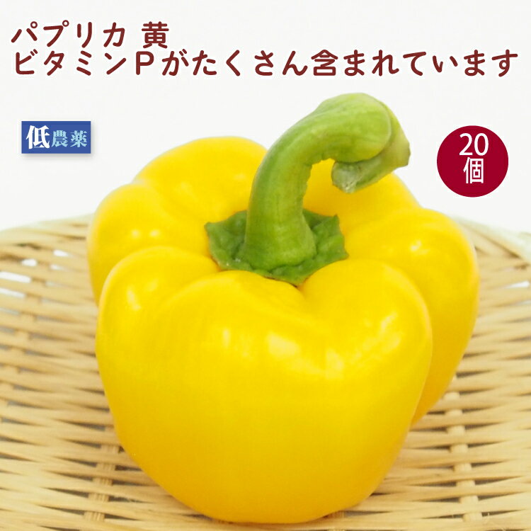 パプリカ 黄 20個 低農薬栽培 新潟産 食卓に華やかな彩を添える食材 母の日