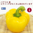 パプリカ 黄 6個 低農薬栽培 新潟産 食卓に華やかな彩を添える食材 母の日
