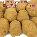 じゃがいも 男爵 無農薬栽培 5kg前後