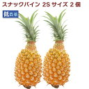 スナックパイン 2Sサイズ 2個 沖縄県産 低農薬栽培