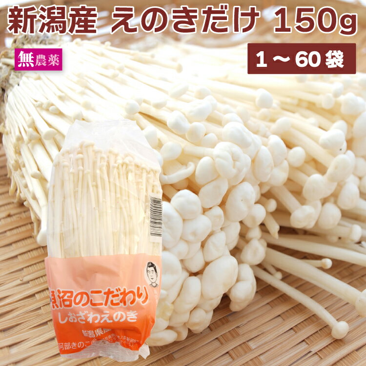 えのきだけ 新潟魚沼産 無農薬栽培 150g 【1・12・20・30・60袋から選べます】