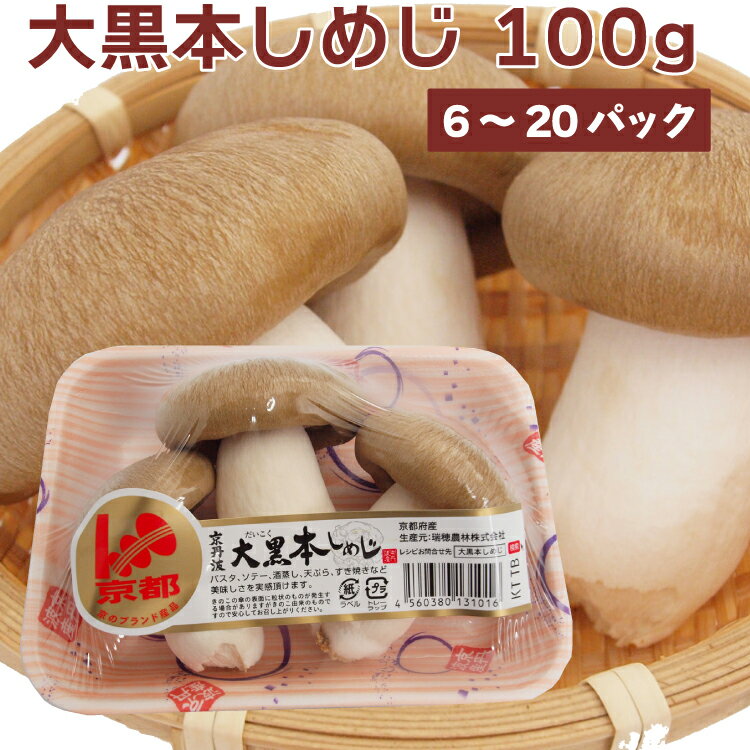 大黒本しめじ 京都府京丹波産 100g 幻のきのこ 【選べます　6・10・20パック】