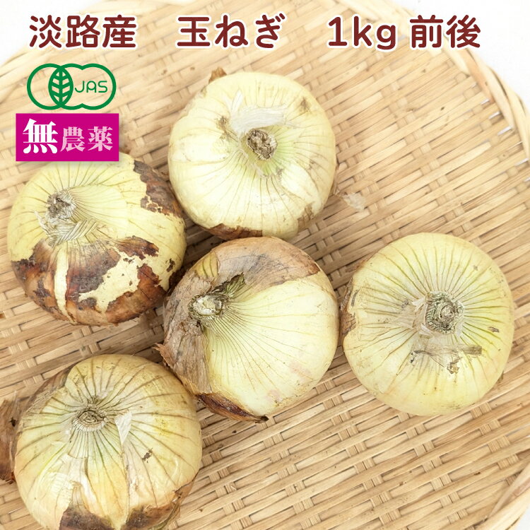 淡路産玉ねぎ 1kg前後 有機栽培 無農薬栽培 母の日