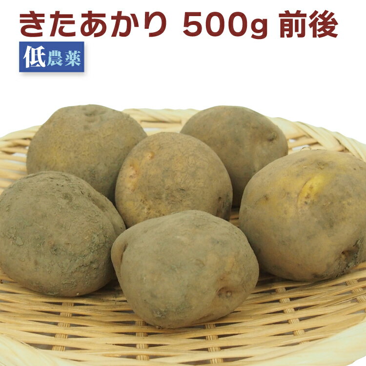 じゃがいも キタアカリ 低農薬栽培 500g前後 北海道産 父の日