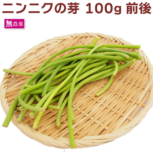 ニンニクの芽 無農薬栽培 100g前後 ニンニクの芽 無農薬栽培 100g前後