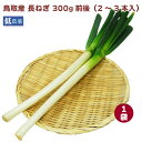 長ねぎ 300g(2〜3本入り)×1袋 低農薬栽培 鳥取産
