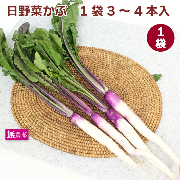日野菜かぶ 1袋(1袋3〜4本入) 無農薬栽培 栃木産
